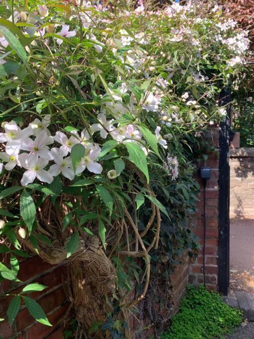 Beautiful Georgian Cottage Within A Private Walled Garden โอ๊กคัม ภายนอก รูปภาพ